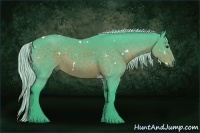 Horse Color:Watercolor White Spotted Silver Bay Sabino