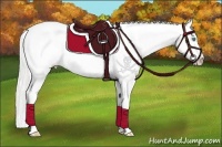 Horse Color:Silver Perlino Appaloosa