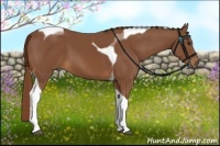 Horse Color:Chestnut Tobiano
