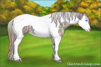 Horse Color:Nacre Liver Chestnut Ice Splash Tobiano 