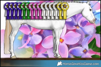 Horse Color:White Spotted Smoky Black Frame Appaloosa 