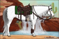 Horse Color:White Spotted Buckskin Dun Splash Frame Rabicano 