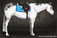 Horse Color:White Spotted Brown Splash Frame 