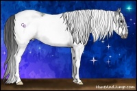 Horse Color:White Spotted Black Frame