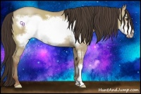 Horse Color:Classic Champagne Dun Frame 