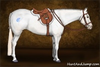 Horse Color:Red Dun Varnish