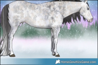 Horse Color:Buckskin Chinchilla Ice Mushroom Sabino Brindle