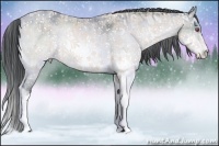 Horse Color:Buckskin Chinchilla Ice Sabino  Brindle