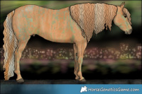 Horse Color:Watercolor Silver Black Brindle