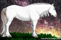 Horse Color:Brown Ice Dun Splash Appaloosa 
