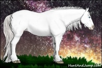 Horse Color:Chocolate Palomino Pearl Sabino Appaloosa