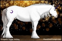 Horse Color:Buckskin Ice Appaloosa Rabicano