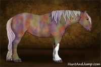 Horse Color:Nacre Silver Bay Rabicano 