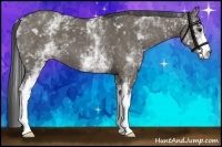 Horse Color:White Spotted Smoky Grullo 