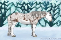 Horse Color:Silver Brown Ice Splash