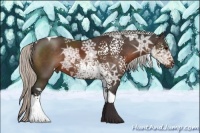 Horse Color:White Spotted Silver Brown Ice Tobiano