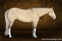 Horse Color:White Spotted Silver Bay Roan Dun Splash 