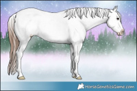 Horse Color:Brown Sabino Frame Appaloosa 