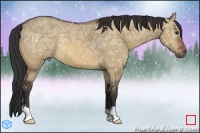 Horse Color:Bay Ice Dun 