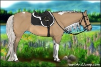 Horse Color:Silver Buckskin Tobiano