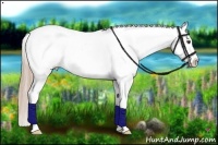 Horse Color:Liver Chestnut Tobiano Appaloosa