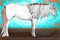 Horse Color:White Spotted Black Splash Tobiano Appaloosa