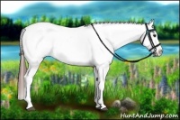 Horse Color:Bay Tobiano Appaloosa 