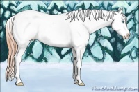 Horse Color:Buckskin Pearl Dun Tobiano Appaloosa Rabicano 