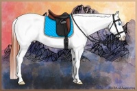 Horse Color:Bay Sabino Splash Snowcap