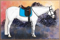 Horse Color:Palomino Dun Tobiano Near Leopard