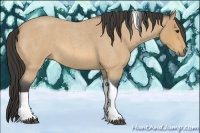 Horse Color:Buckskin Roan Tobiano 