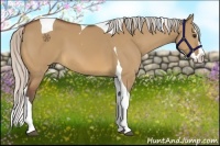 Horse Color:Silver Bay Dun Splash Tobiano 