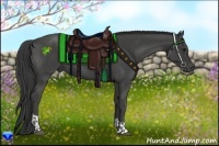 Horse Color:Smoky Black and Smoky Black