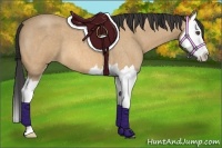 Horse Color:Buckskin Roan Splash 