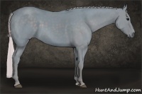 Horse Color:Watercolor Silver Black 