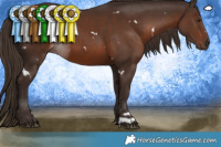 Horse Color:White Spotted Liver Chestnut 