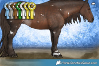 Horse Color:White Spotted Liver Chestnut 