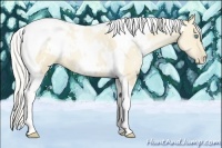 Horse Color:White Spotted Silver Smoky Black Pearl Tobiano 