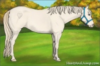 Horse Color:Perlino Roan 