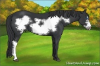 Horse Color:Black Frame 