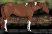 Horse Color:Chestnut Tobiano 