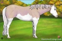 Horse Color:Watercolor Palomino Splash