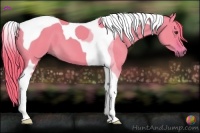 Horse Color:Watercolor Liver Red Dun Tobiano 