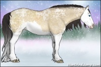 Horse Color:Sable Champagne Ice Dun Sabino Splash 