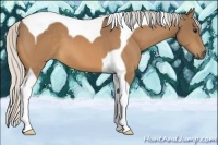 Horse Color:Silver Buckskin Tobiano