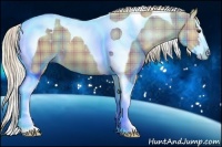 Horse Color:Plaid  Palomino Splash Tobiano 