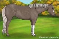 Horse Color:Silver Black 