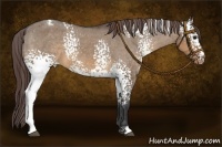 Horse Color:White Spotted Brown Dun Varnish 