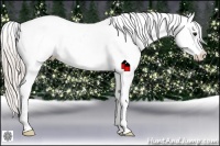 Horse Color:Silver Brown Near Fewspot 