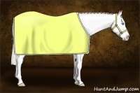 Horse Color:Palomino Pearl Sabino Splash Blanket Rabicano